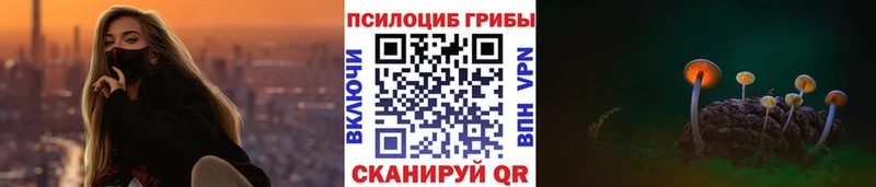 цена наркотик  Пикалёво  Псилоцибиновые грибы GOLDEN TEACHER 